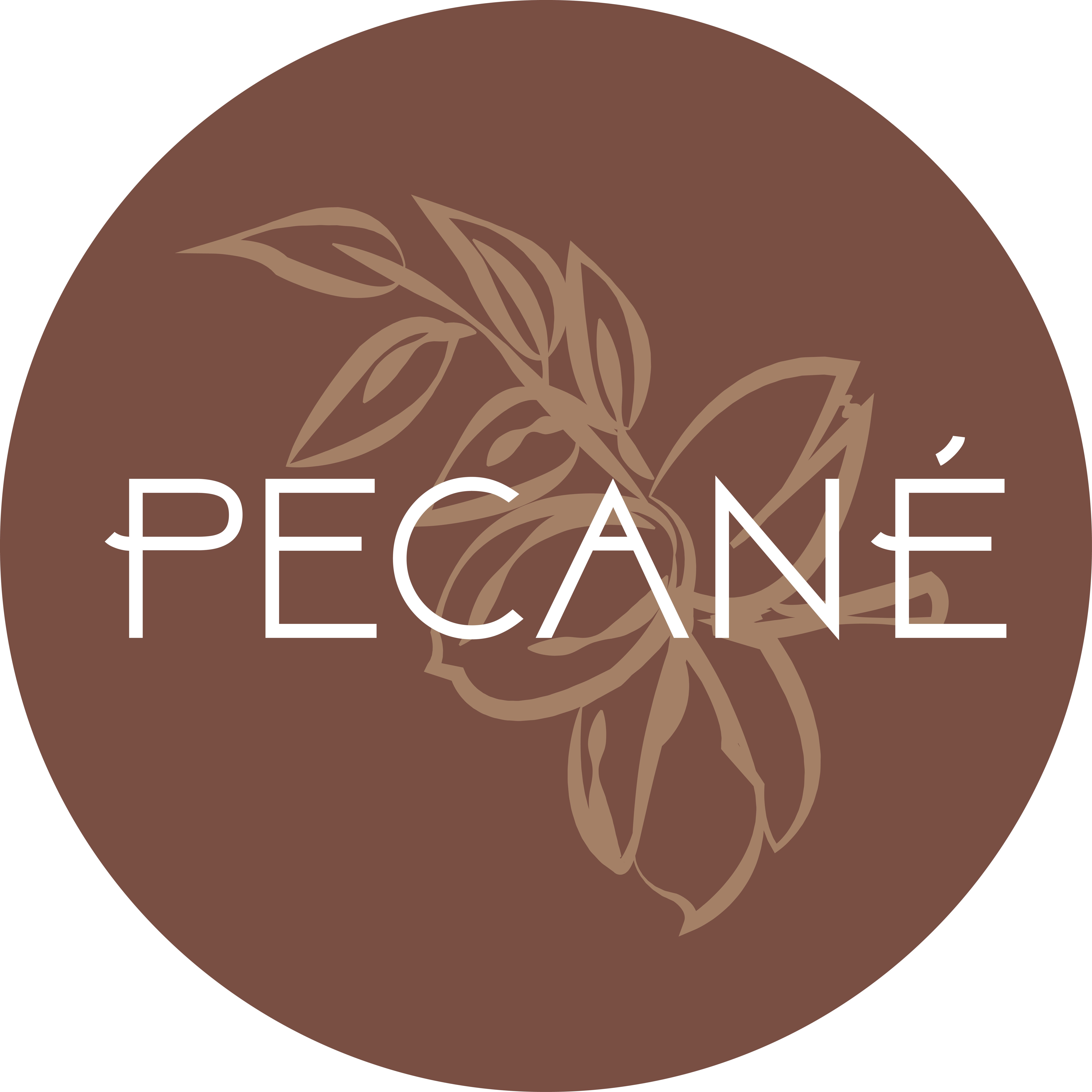 Granola PECANÉ