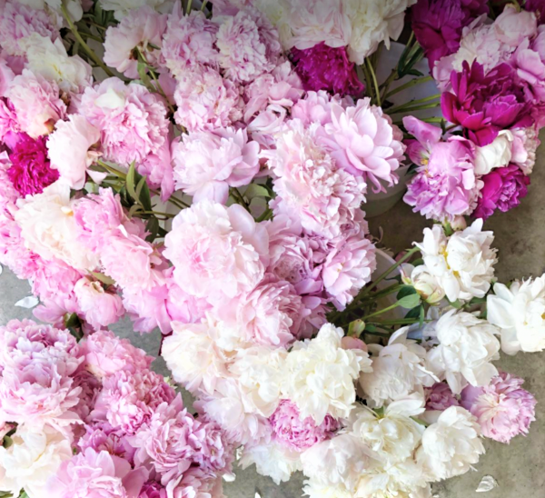 Fynfyn’s Flowers