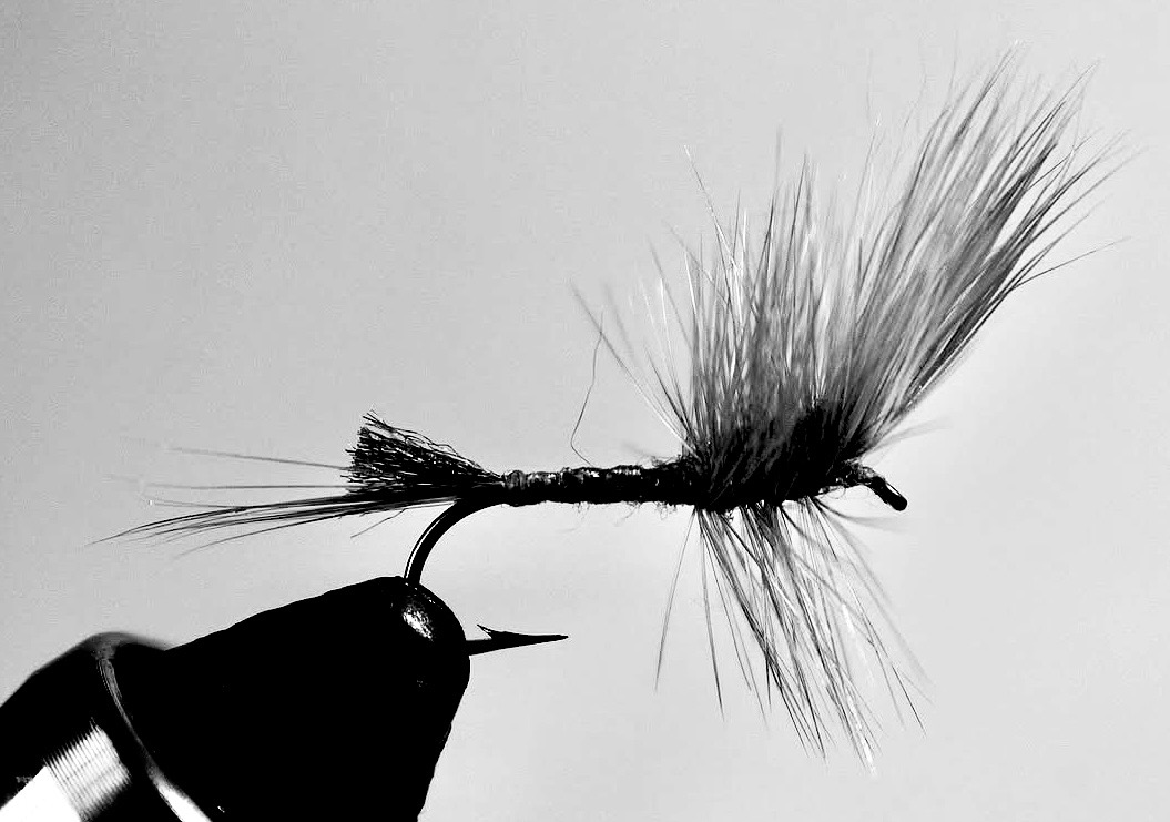 Beaver Brook Fly Labs