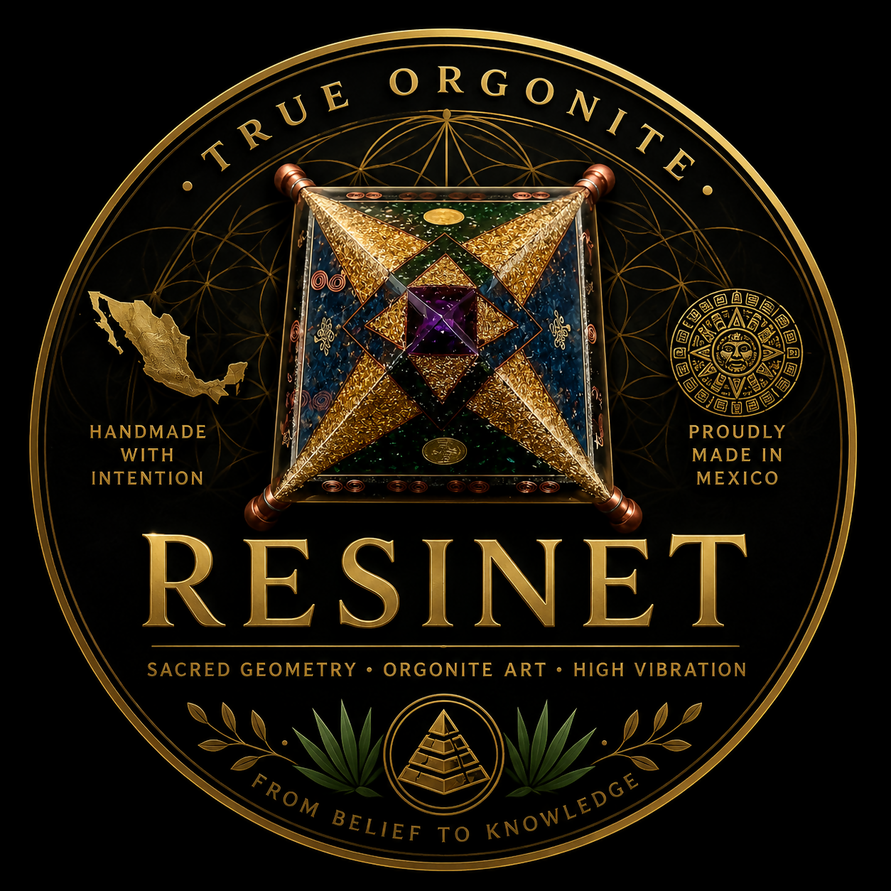 RESINET