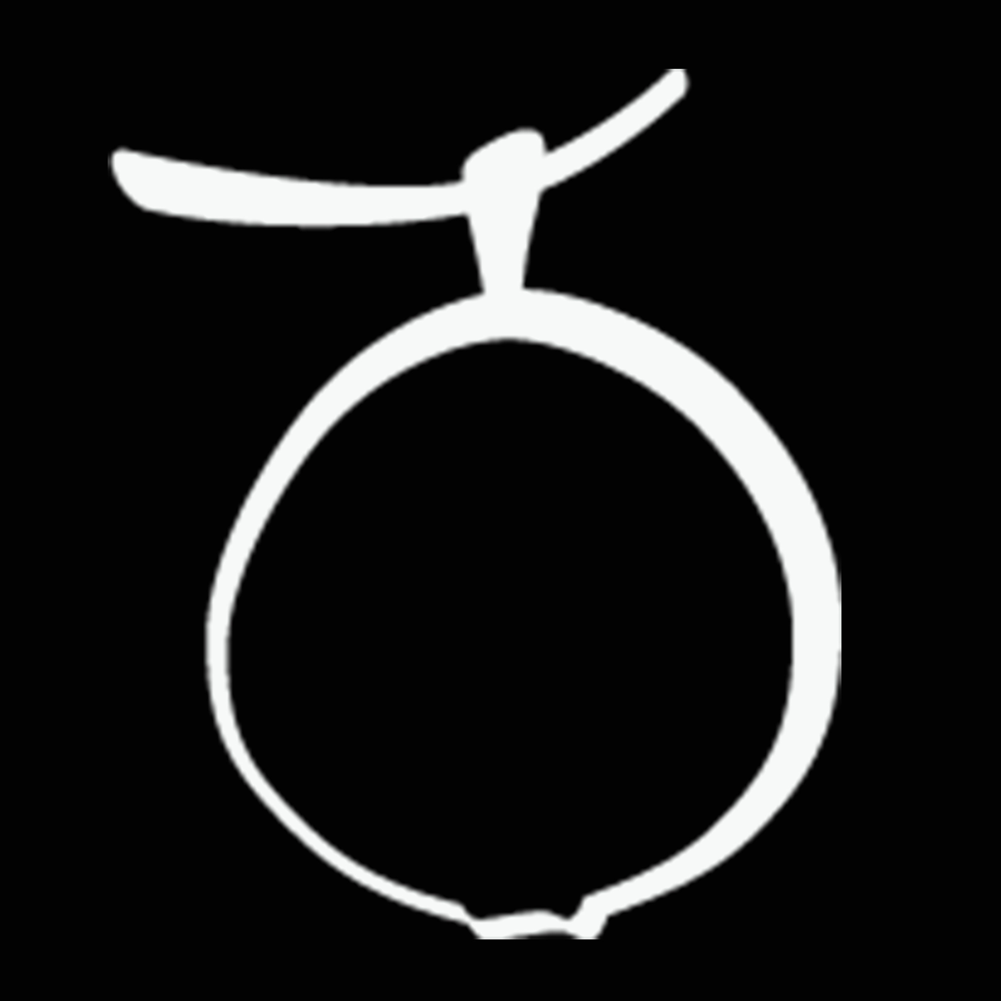 Guayaba Bolsos