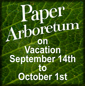 Paper Arboretum