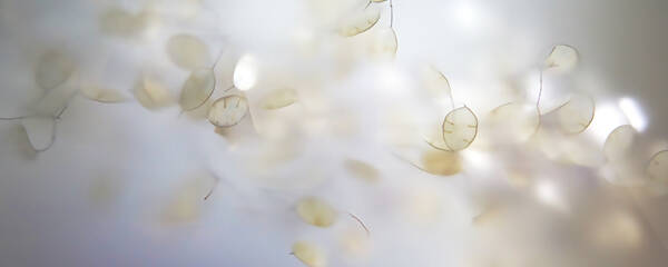 Marlies Hofstede Photography banner