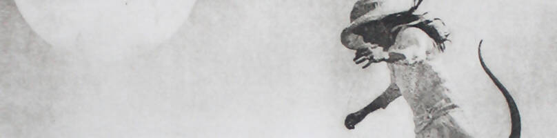 Jaco Putker Grafiek banner